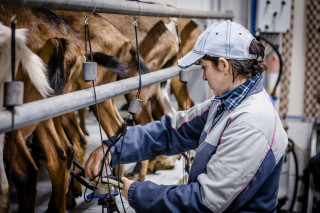 Ricerca per Donne in Campo. Sara Roncaglia, Bianca Pastori, Riccardo Apuzzo, Diego Ronzio